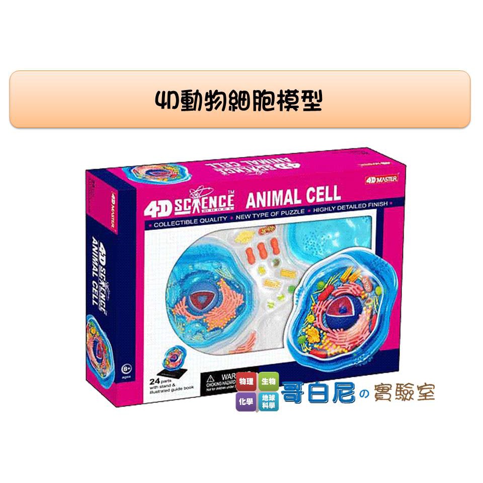 哥白尼的實驗室/生物/4D動物細胞模型/細胞核 粒線體 細胞膜 高基氏體 內質網/正版Fame Master/科學玩具