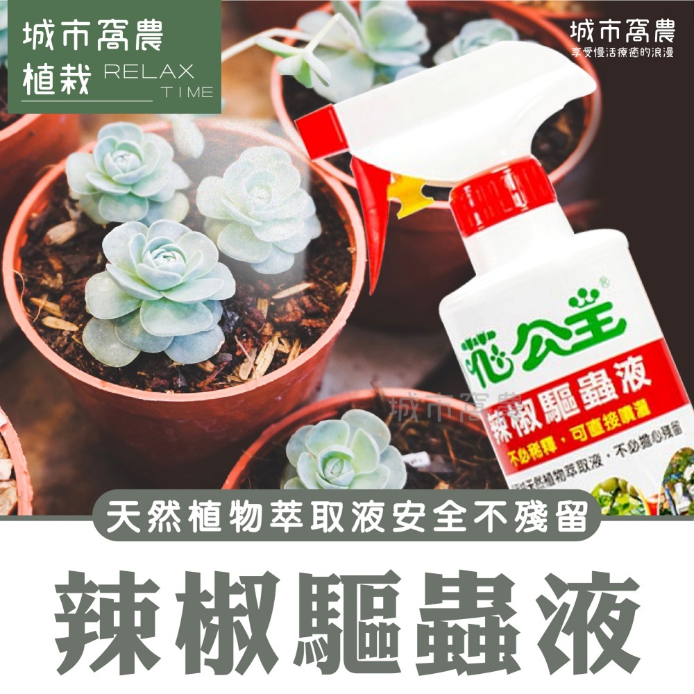 (台灣製造免運) 辣椒水 天然辣椒水 驅蟲水 無毒驅蟲 500ML