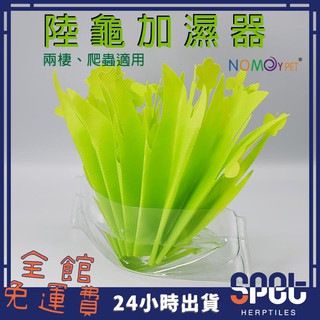 【全館免運費●思皮特】 陸龜加濕器 植物造型 綠色 加濕 盆栽 加濕器 保濕 兩棲 爬蟲 陸龜 守宮 蜥蜴 角蛙 蛇