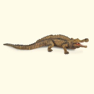 「芃芃玩具」COLLECTA 恐龍模型 帝王鱷 模擬 教材 教學 貨號88334