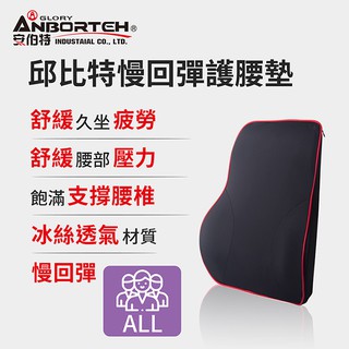 【安伯特】邱位元慢回彈護腰墊 車用護腰墊 車用靠墊 車用腰枕 汽車靠墊 護腰枕 慢回彈記憶棉【DouMyGo汽車百貨】