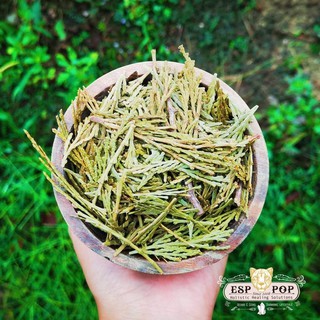ESPpop-雪松 Cedar 100g｜Keezhik