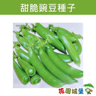 甜豌豆 優惠推薦 21年5月 蝦皮購物台灣