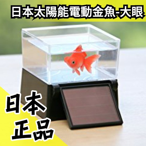 大眼金魚 日本takara Tomy 太陽能供電電動金魚附情境紙可放在任何容器唷 水貨碼頭 蝦皮購物