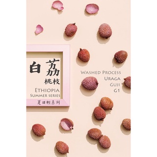 †星星咖啡†非洲衣索比亞 谷吉 烏拉嘎 白荔桃枝 水洗 G1 咖啡豆