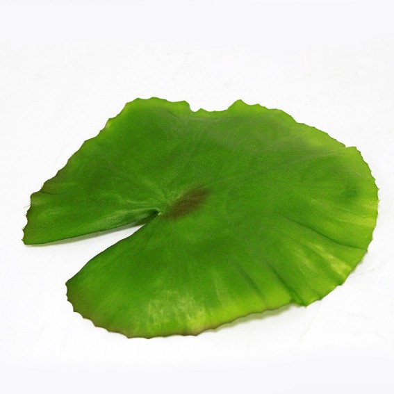 人造植物 大浮水蓮葉 假荷葉花藝設計仿真花居家生活佈置夏天盆花 蝦皮購物