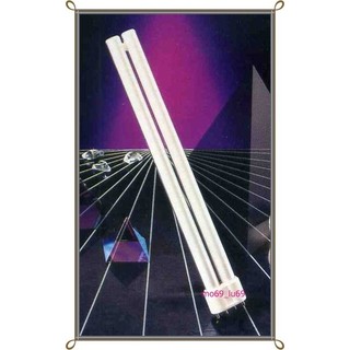 ~萊特小舖~(含稅附發票)庫存品出清 PL36W燈管黃光2700K/ PL55W燈管白光860