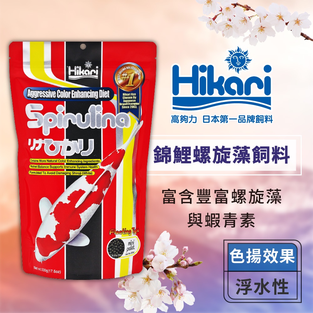 Hikari 高夠力 錦鯉螺旋藻飼料 500g  Mini顆粒 錦鯉增豔 增色 色揚 高CP值