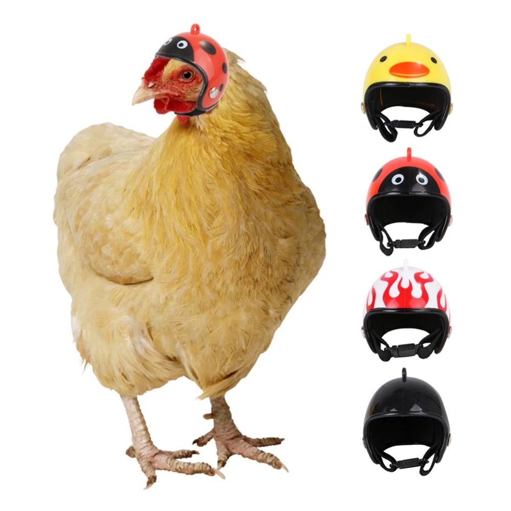 1 個可調雞頭盔 鳥鴨安全帽 小寵物帽子保護頭