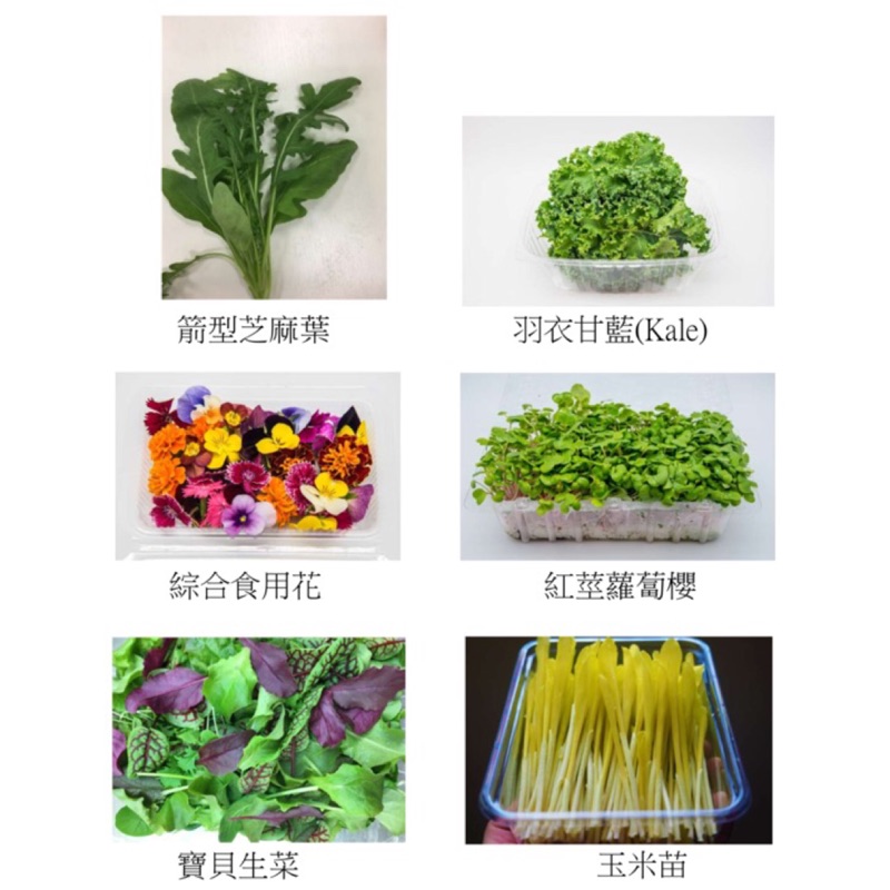 人氣推薦商品與線上折扣優惠 Special Food 蝦皮台灣