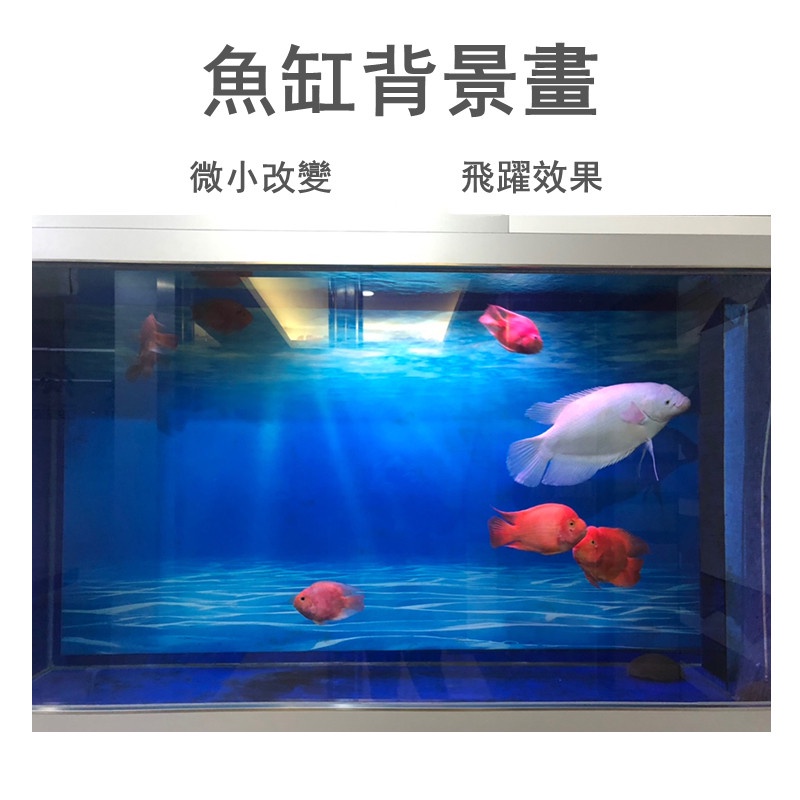 魚缸背景紙畫高清圖3d立體壁紙水族箱貼紙壁畫造景裝飾海景5d定做 蝦皮購物