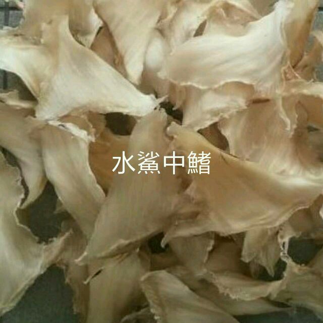 水鯊中鰭排翅~魚翅. 海參 干貝.烏魚子.車輪牌鮑魚罐頭.魚膠花膠.花菇禮品專賣