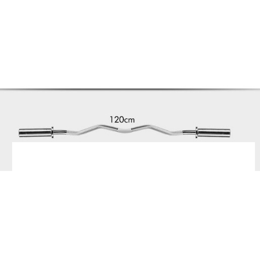 奧林匹克w槓 奧林匹克槓 奧槓 5公分孔槓