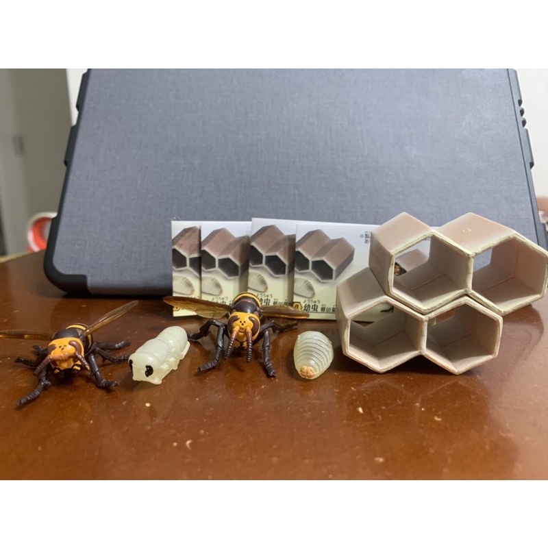 「玩具爽雙」現貨 胡蜂模型與巢穴  一套四款 扭蛋 轉蛋 胡蜂 幼蟲 蛹 成蟲 蜜蜂造型