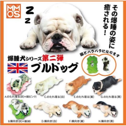 儂儂轉蛋屋 Xmmos盒玩 休眠狗狗爆睡犬2 英國鬥牛犬 大全8款 蝦皮購物