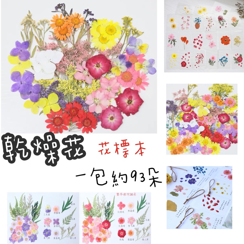 乾燥花材料包 花材料包 花標本 一包93朵 花片 蝦皮購物
