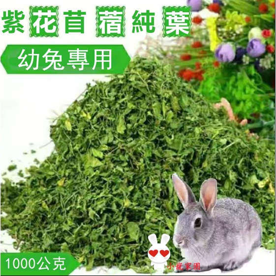 紫花苜蓿草葉子全葉兔子龍貓荷蘭豬飼料糧食純葉子幼兔 蝦皮購物
