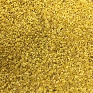 臺灣小米《臺東原住民部落特產》600g