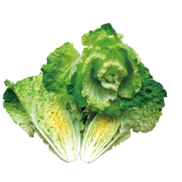 【野菜部屋~】F36 沙拉白菜種子0.6公克 , 甜度高 , 栽培容易 , 每包16元 ~