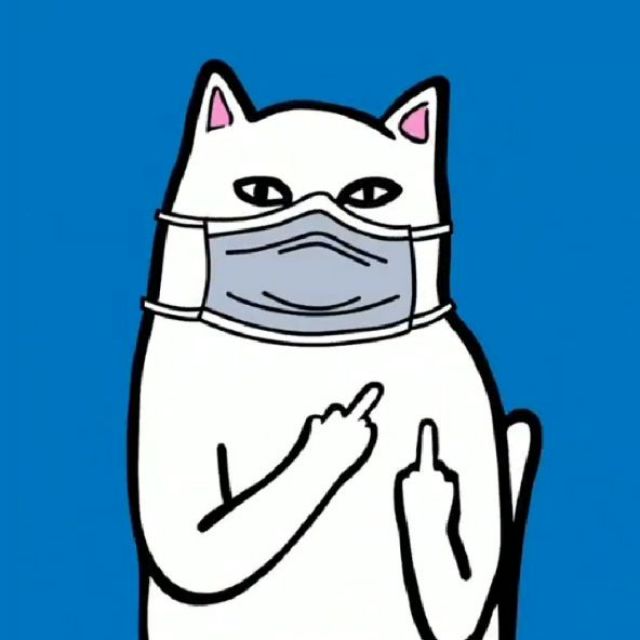 現貨 Ripndip 中指貓限量mask 口罩mask On 系列時尚 蝦皮購物