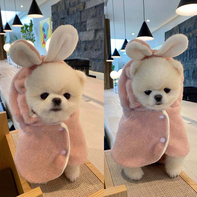 寵物衣服dog狗狗變身裝毛呢披風貓咪斗篷小型犬衣服冬寵物用品寵物服飾寵物玩具 蝦皮購物