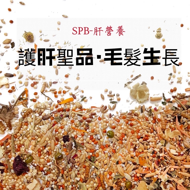 ｜地瓜球的窩窩｜SPB-肝營養高能量倉鼠主食 一線鼠/三線鼠/老公公/黃金鼠/熊鼠/鼠飼料/倉鼠主糧