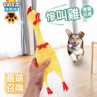 【愛寵物】慘叫雞發聲玩具 召喚主子不費力 尖叫雞 慘叫雞 發聲玩具 寵物磨牙 磨牙玩具 寵物玩具