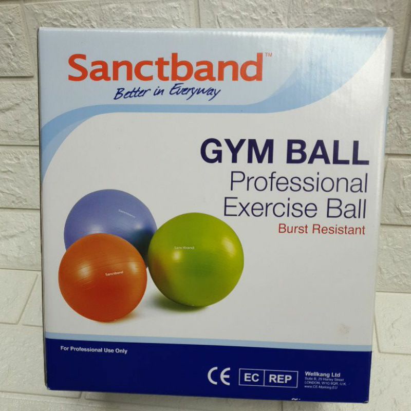 韻律球（GYM BALL)