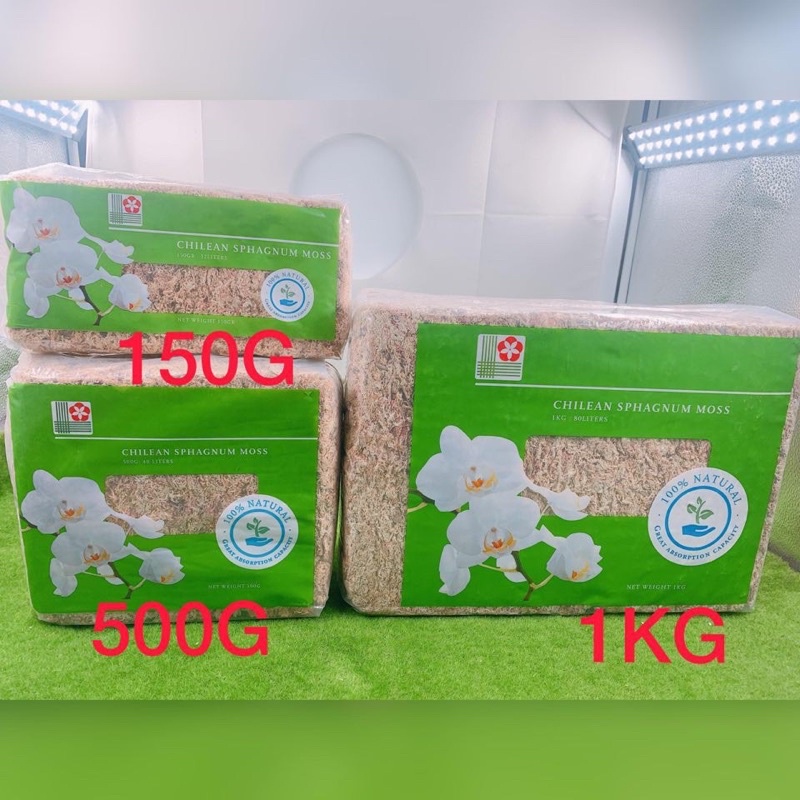 《祐麒園藝》智利水苔 水草 150g/500g/1kg