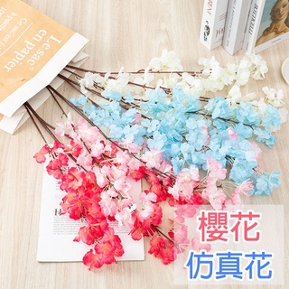 齋藤冬優花 優惠推薦 22年5月 蝦皮購物台灣