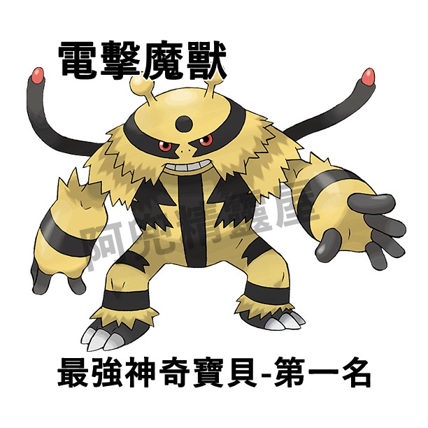 阿兜精靈屋 最強神奇寶貝第一名 第二名 第三名 電擊魔獸 鴨嘴炎獸 美納斯 精靈寶可夢究極日月太陽月亮劍盾