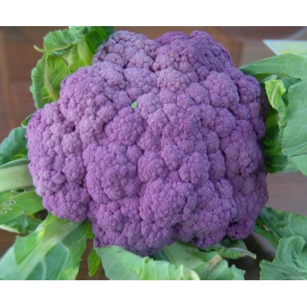 紫色花椰菜 優惠推薦 21年12月 蝦皮購物台灣