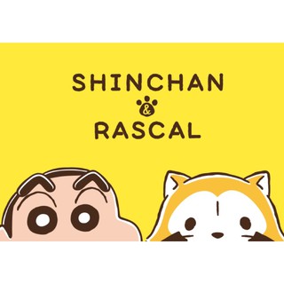 ⚠️少量現貨⚠️下單隔天出貨🚗 蠟筆小新 拉斯卡爾 小浣熊 聯名 陶瓷 碗 碟子 杯子 餐具 馬克杯 日本 正版 代購