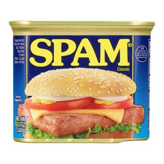 SPAM (原味漢堡/Luncheno Meat) 午餐肉 肉罐頭 340g 【Sunny Buy】