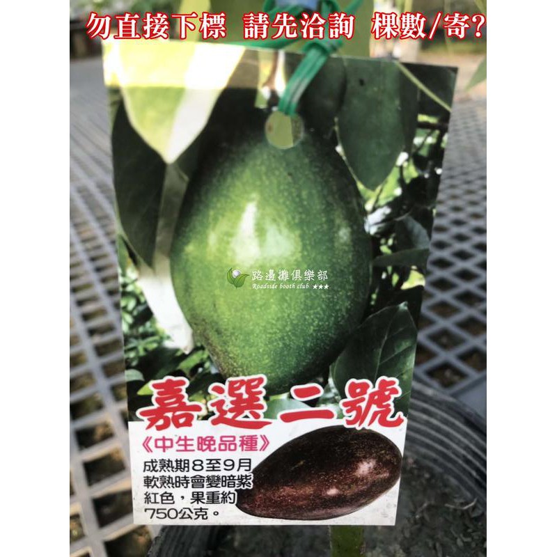 酪梨嫁接苗的價格推薦第3 頁 21年9月 比價比個夠biggo