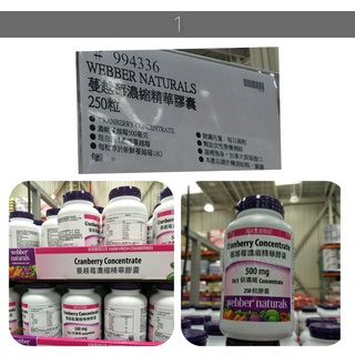 Webber 蔓越莓濃縮精華膠囊 250粒 蔓越梅(食品#234# Costco 好市多代購 #994336 保健 補充