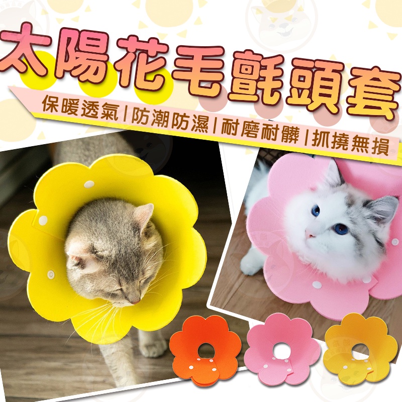 【柴本部】太陽花毛氈頭套 伊莉莎白圈 頭套 毛氈頭套 貓咪飾品 寵物頭套 寵物頭圈 軟頭套 貓咪頭套 狗狗頭套