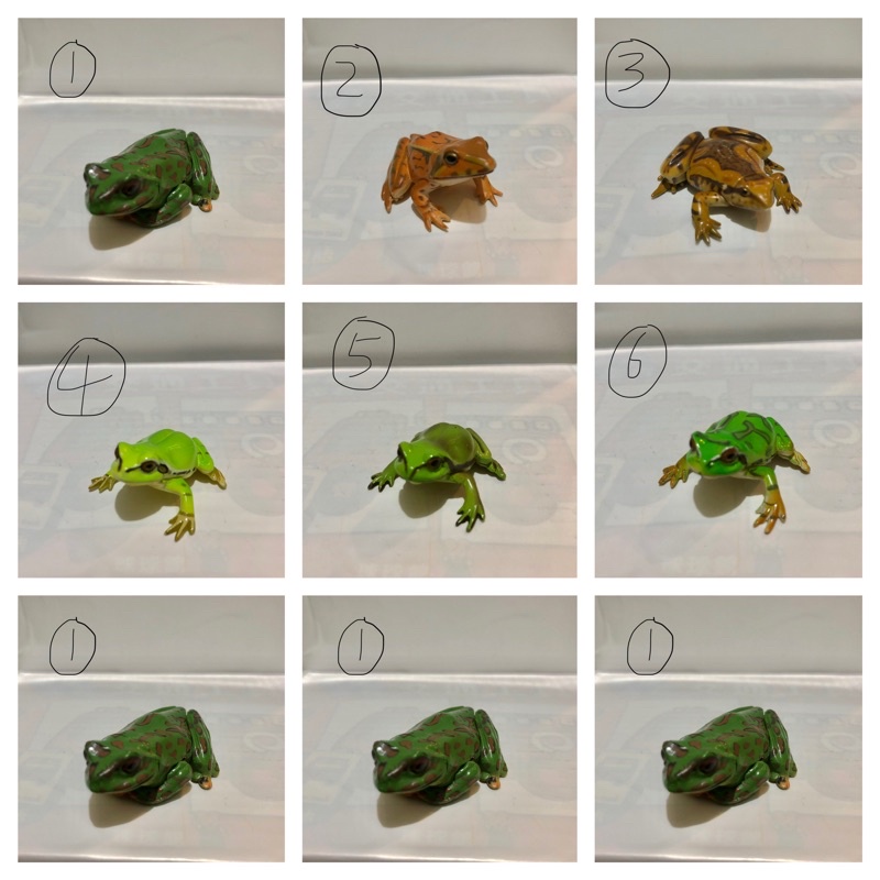 海洋堂 日本擬真動物公仔 青蛙🐸&amp;烏龜🐢類 1～50