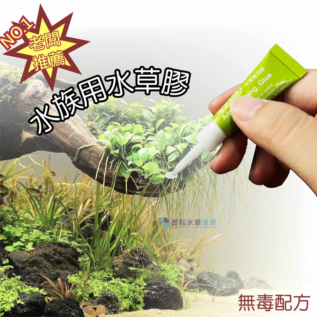 墨耘水草造景 新竹 線上商店 蝦皮購物