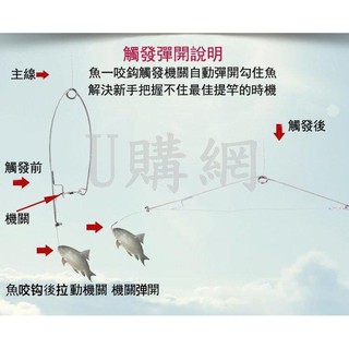 自動釣的價格推薦 21年5月 比價撿便宜