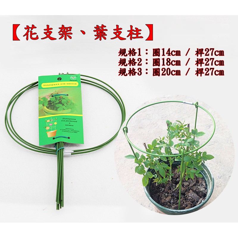 陽台多肉花園 花支架 葉支柱 小型爬藤花架 植物架子 爬藤支架 爬藤架 歡迎三重區捷運路自取 蝦皮購物