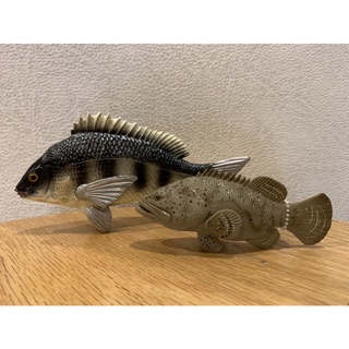 【牛哥釣具】石斑魚 模型。。。。。。石斑模型 黑鯛模型 黑格模型