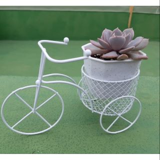 ❤現貨❤⭐新品上市⭐療癒小物♡【優質白色三輪車鐵架】多肉植物/盆栽裝飾/辦公桌小物/居家裝飾/DIY材料