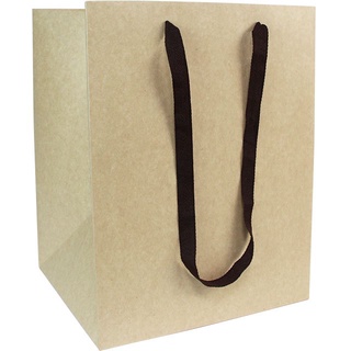 ☆╮Jessice 雜貨小鋪╭☆包裝用品 手提 紙袋 大2K-L 赤牛皮無印(棉繩) 約寬28高36側25cm 10入