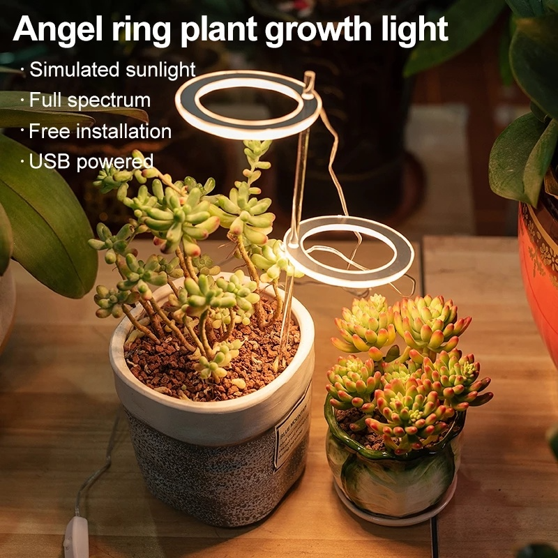 全光譜天使環led 生長燈 用於多肉植物生長 像陽光般的全光譜植物燈 用於室內花溫室 蝦皮購物