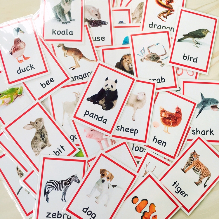 英語卡片閃卡animal動物卡72張兒童單詞卡寶寶早教啟蒙教師教具認知動物學習英文單詞認知世界早教英文單詞閃卡 蝦皮購物