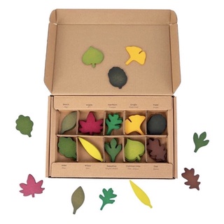木製樹葉系列 鬆散葉子拼搭盒 葉子素材 葉片素材 天然素材 角落區 葉子認識 葉片素材 鬆散素材 葉子認知