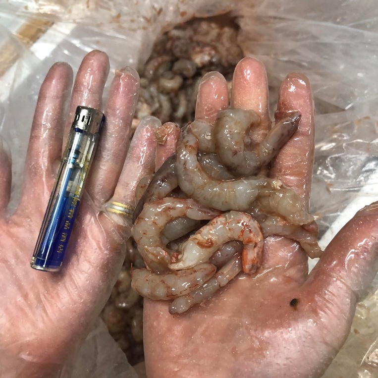 深海 火燒蝦 厚殼蝦 蝦仁 手剝火燒蝦  蝦仁 釣魚用 釣餌 魚餌 誘餌  可食用 海釣場釣餌 (限冷凍宅配)