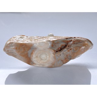 《※精品水晶※》能量至寶 - 玉質化 龍宮舍利 原礦 R200701