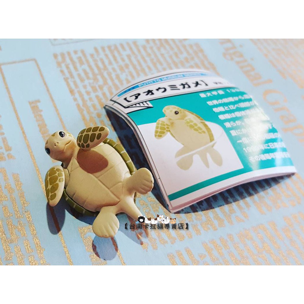 SUPER日式卡通精品 日本沖繩 海生館 限定版扭蛋 杯緣子 海龜 公仔 可今天寄明天到
